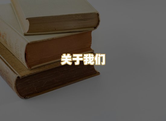关于我们